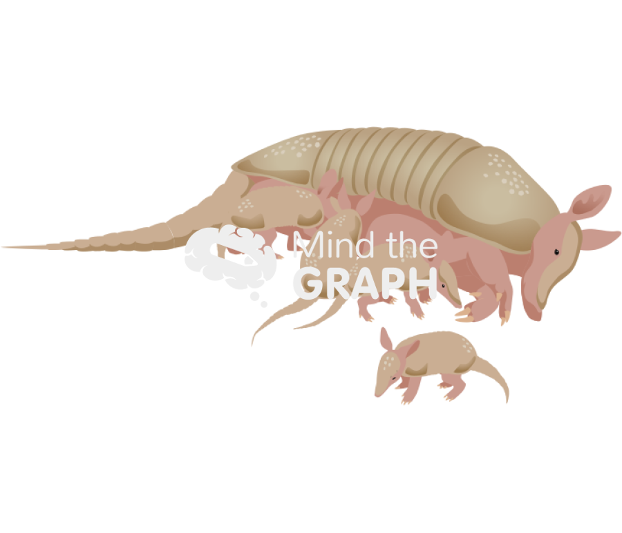 Armadillo pups Icons, Symbols, Pictures, and Images