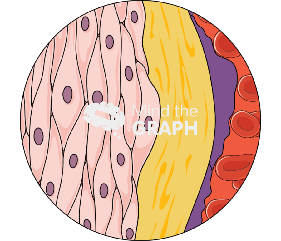 Arterial wall Icons, Symbols, Pictures, and Images