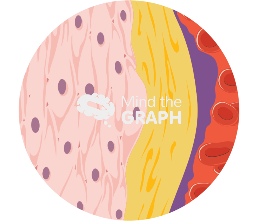 Arterial wall Icons, Symbols, Pictures, and Images