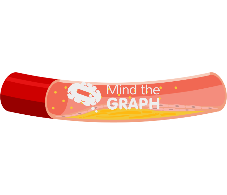 Artery lipid peroxidation longitudinal cut Icons, Symbols, Pictures, and Images