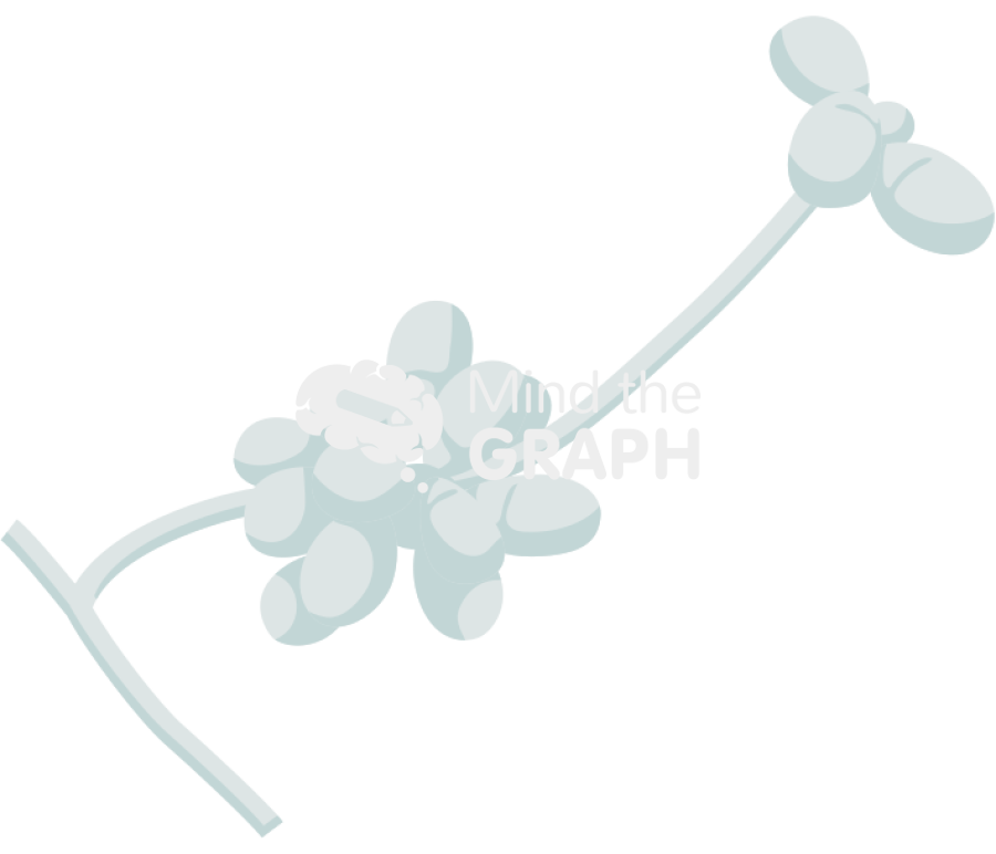 Arthrobotrys oligospora Icons, Symbols, Pictures, and Images