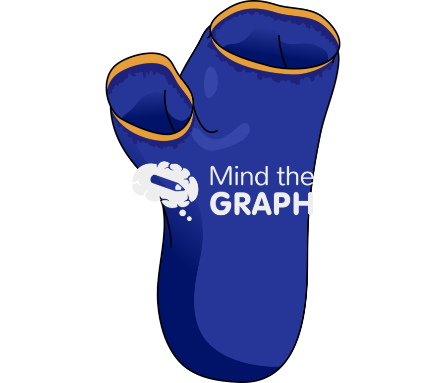 Ascidacea sea squirt blue tunicate Icons, Symbols, Pictures, and Images