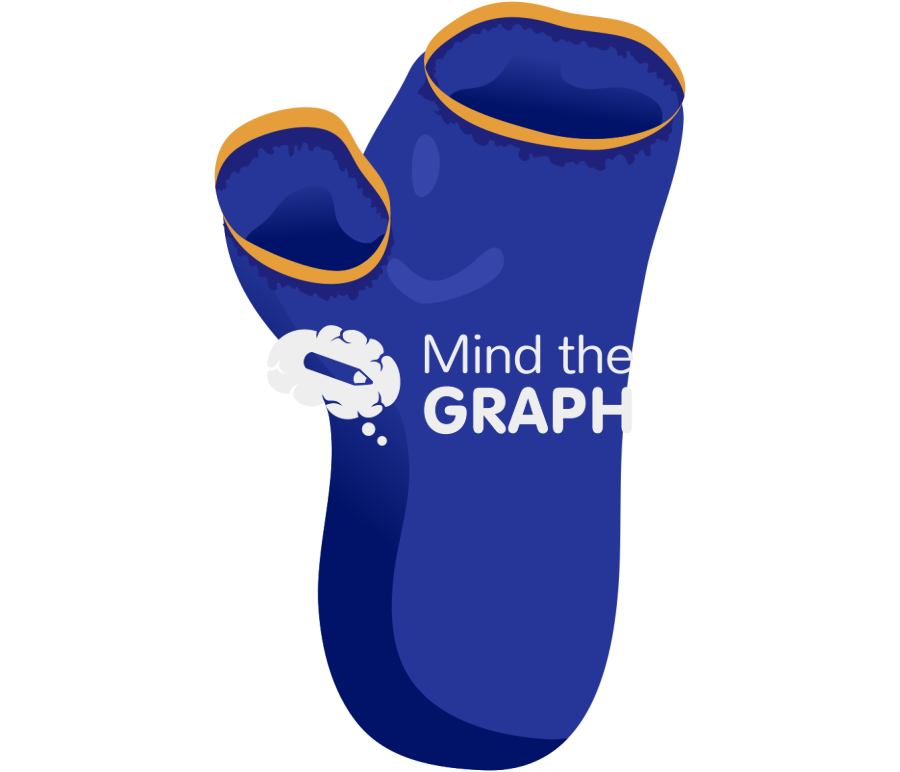 Ascidacea sea squirt blue tunicate Icons, Symbols, Pictures, and Images