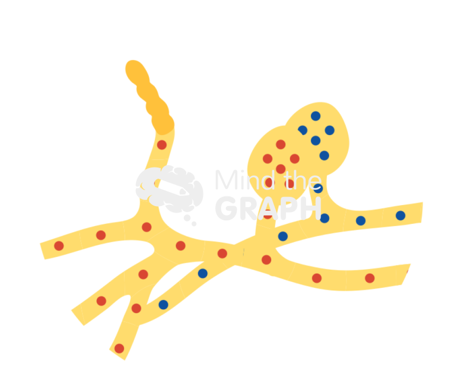 Ascopore mating type Icons, Symbols, Pictures, and Images