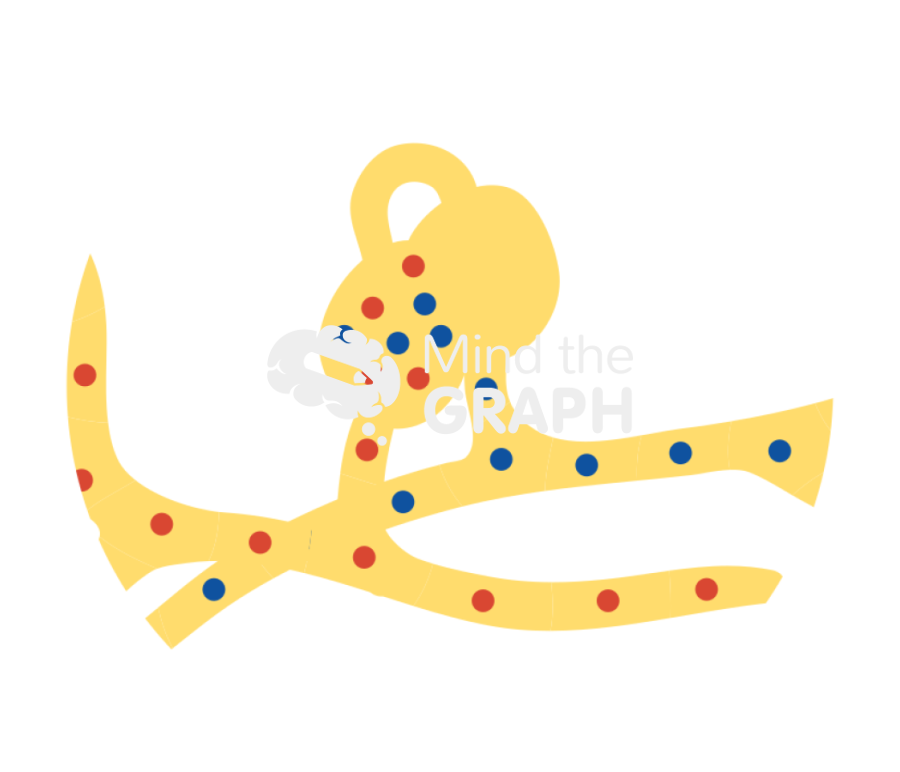 Ascopore plasmogamy Icons, Symbols, Pictures, and Images