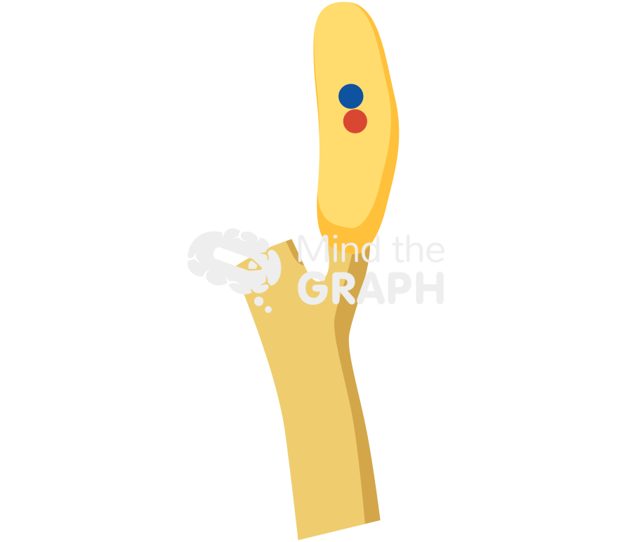 Ascospore 1 Icons, Symbols, Pictures, and Images