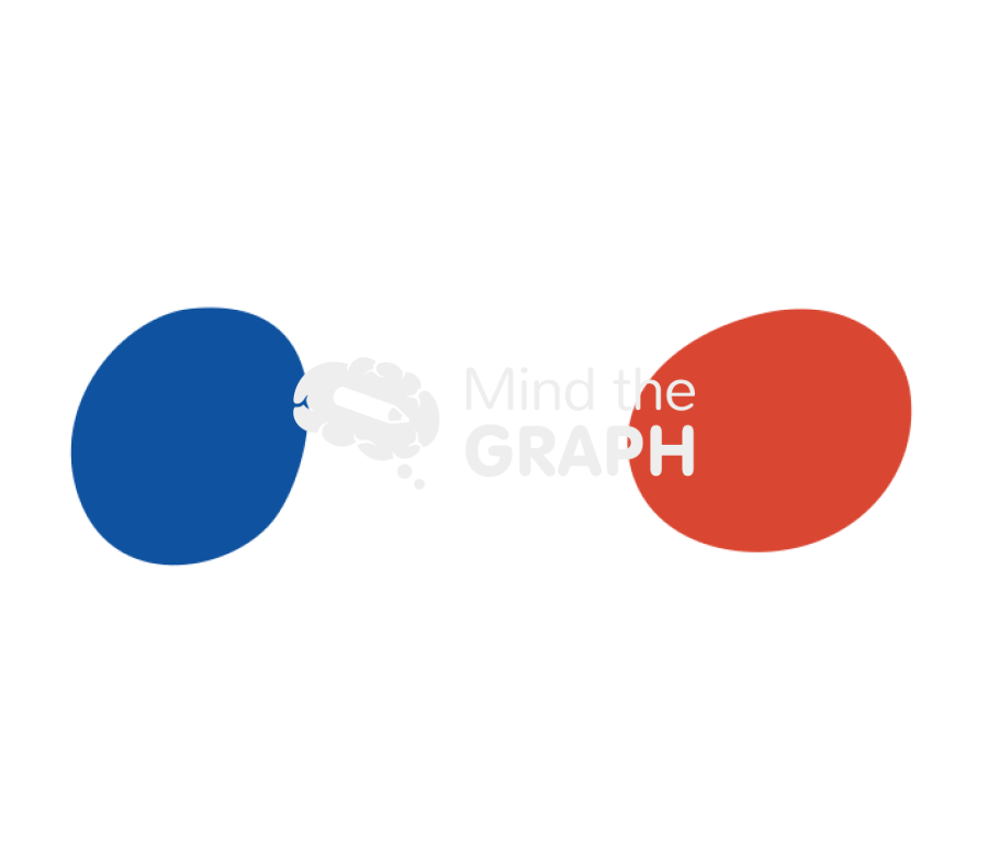 Ascospores Icons, Symbols, Pictures, and Images