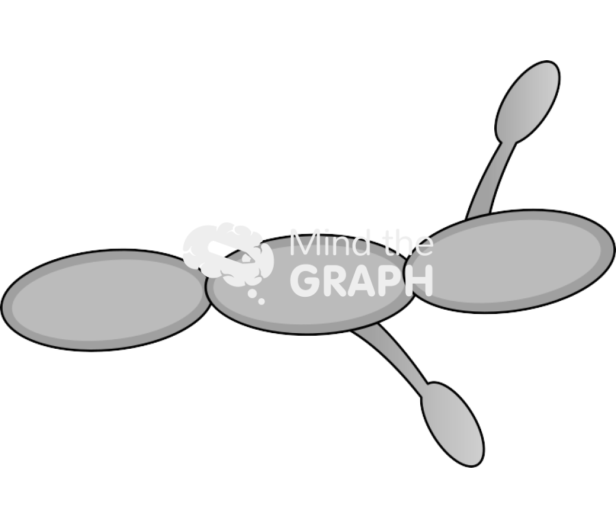 Aspergillus hypha Icons, Symbols, Pictures, and Images