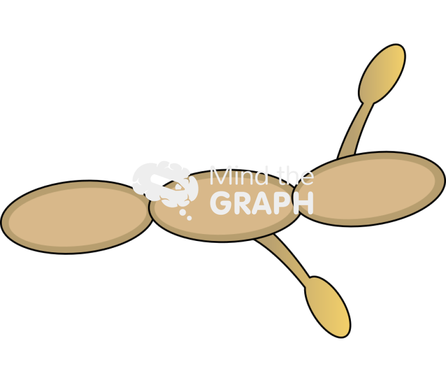 Aspergillus hypha Icons, Symbols, Pictures, and Images