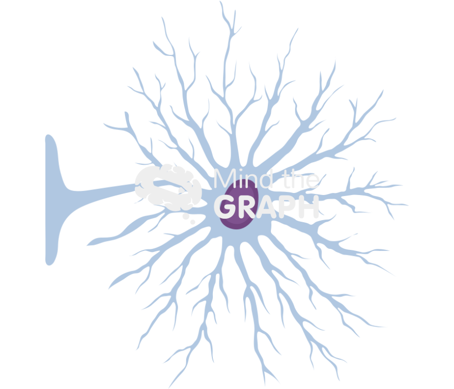 Astrocyte endfeet Icons, Symbols, Pictures, and Images