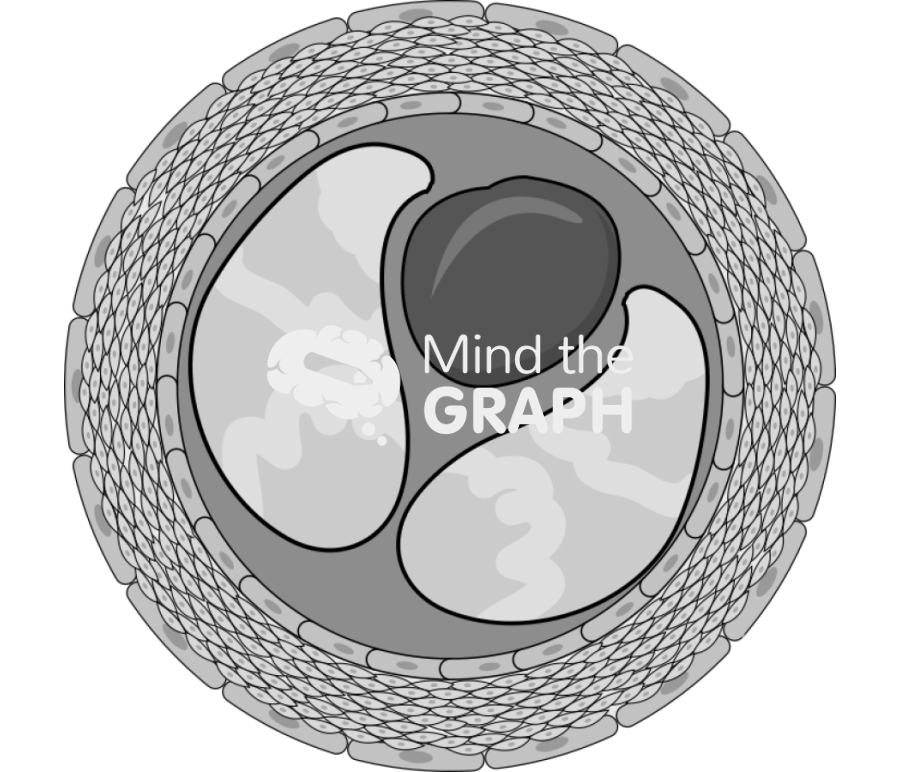 Free Atheroma 6 Icons, Symbols, Pictures, and Images | Mind the Graph