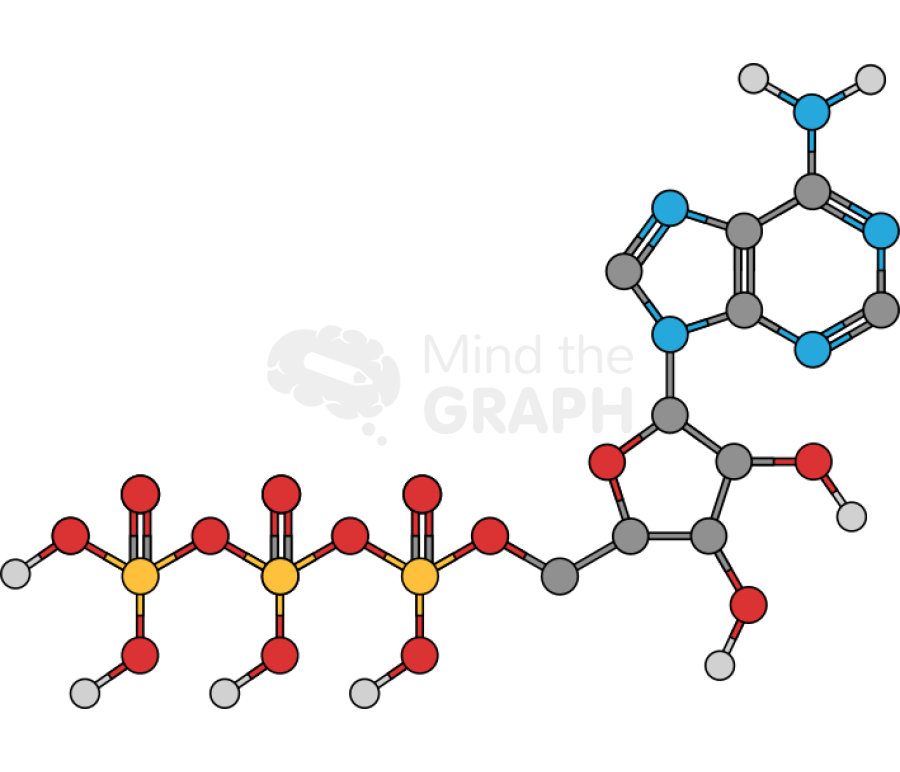 Atp structure molecule Icons, Symbols, Pictures, and Images