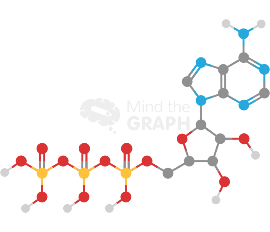 Atp structure molecule Icons, Symbols, Pictures, and Images