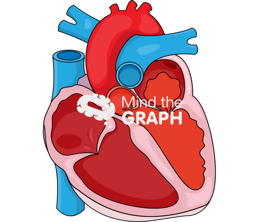 Atrial functional mitral regurgitation combined hfpef fraction atrial fibrillation Icons, Symbols, Pictures, and Images
