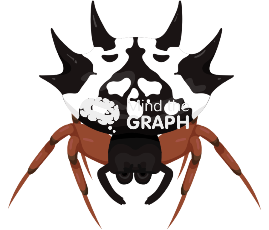 Austracantha minax white morph Icons, Symbols, Pictures, and Images