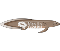 Australian lungfish lateral - Edit and Customize Icons of Australian lungfish lateral Australian lungfish lateral Icons, Symbols, Pictures, and Images