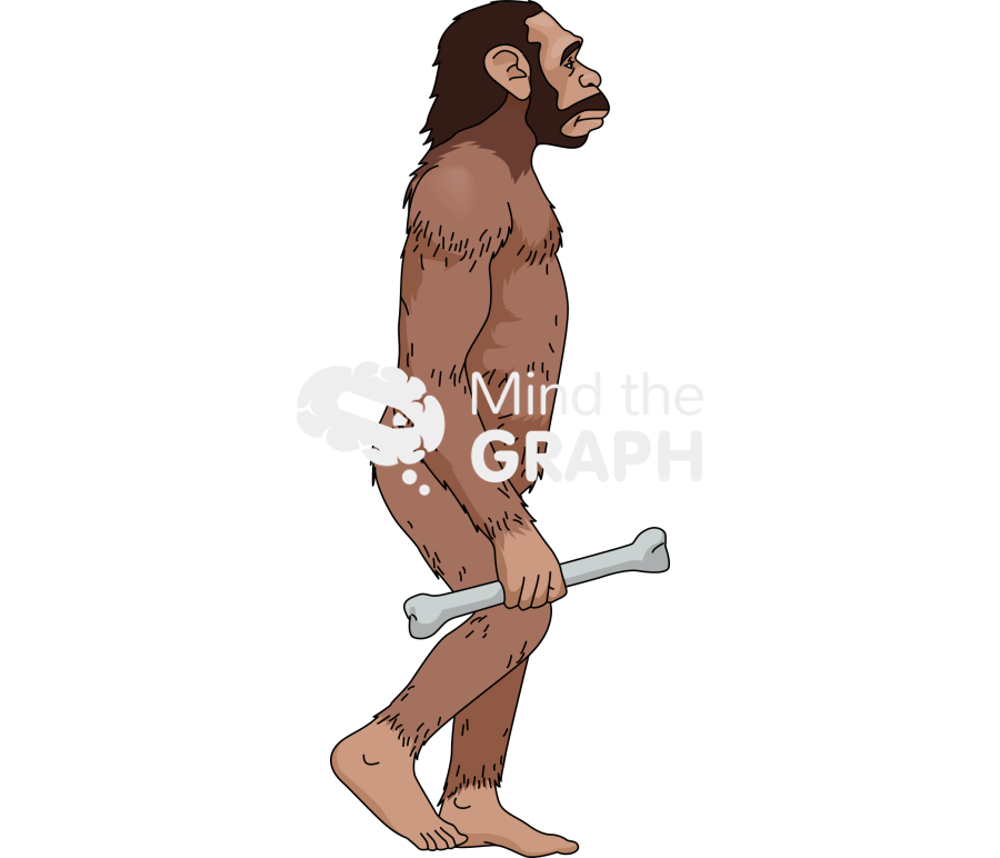 Australopithecus Icons, Symbols, Pictures, and Images