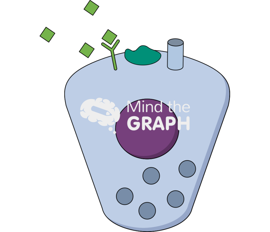 Autonomic regulation control saliva secretion proteins Icons, Symbols, Pictures, and Images