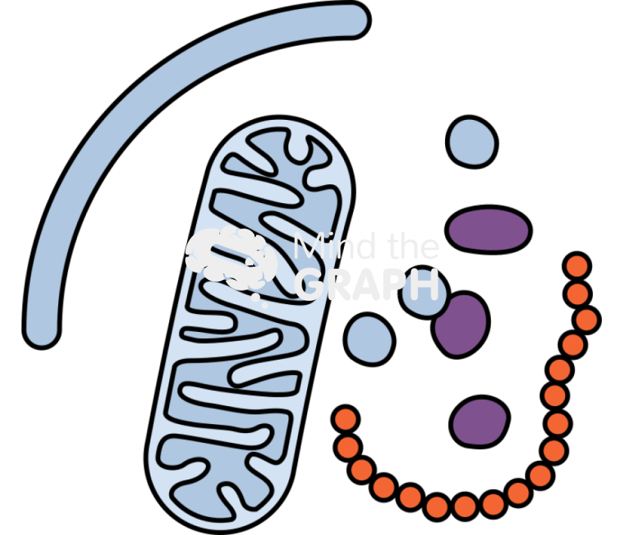 Autophagy 1 Icons, Symbols, Pictures, and Images