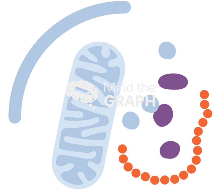 Autophagy 1 Icons, Symbols, Pictures, and Images