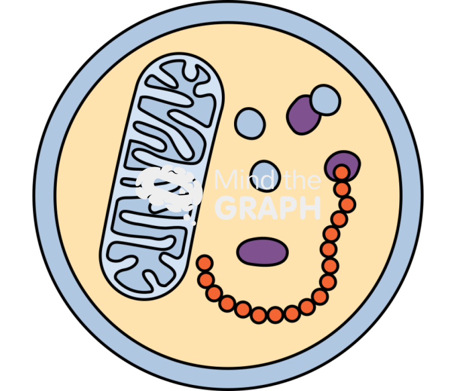 Autophagy 3 Icons, Symbols, Pictures, and Images