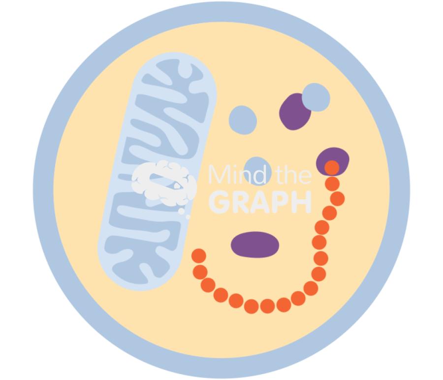 Autophagy 3 Icons, Symbols, Pictures, and Images