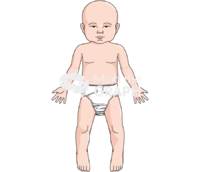 Baby anatomic front asiatic Icons, Symbols, Pictures, and Images