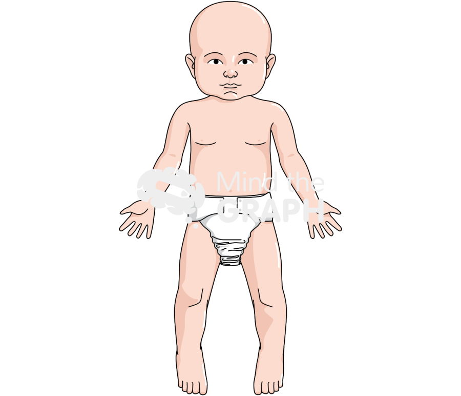 Baby anatomic front caucasian Icons, Symbols, Pictures, and Images