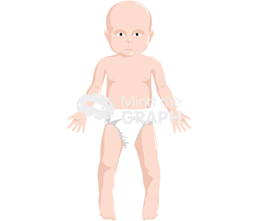 Baby anatomic front caucasian Icons, Symbols, Pictures, and Images