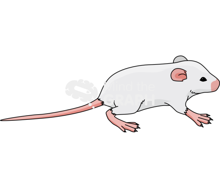 Baby mice 10 days Icons, Symbols, Pictures, and Images