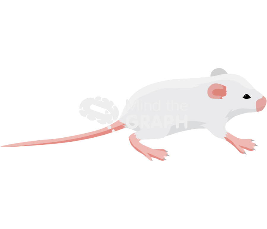 Baby mice 10 days Icons, Symbols, Pictures, and Images