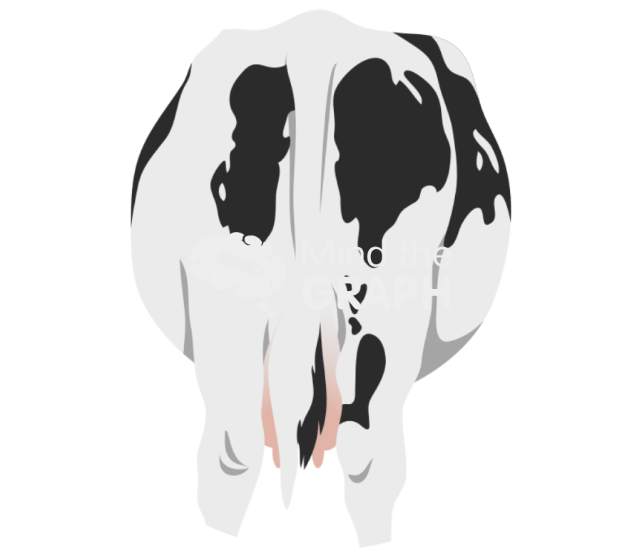 Back view cow zoom Icons, Symbols, Pictures, and Images