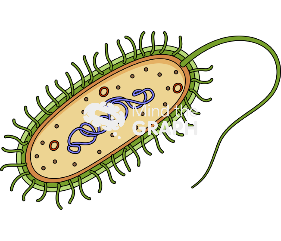 Bacterial chromosome cut Icons, Symbols, Pictures, and Images