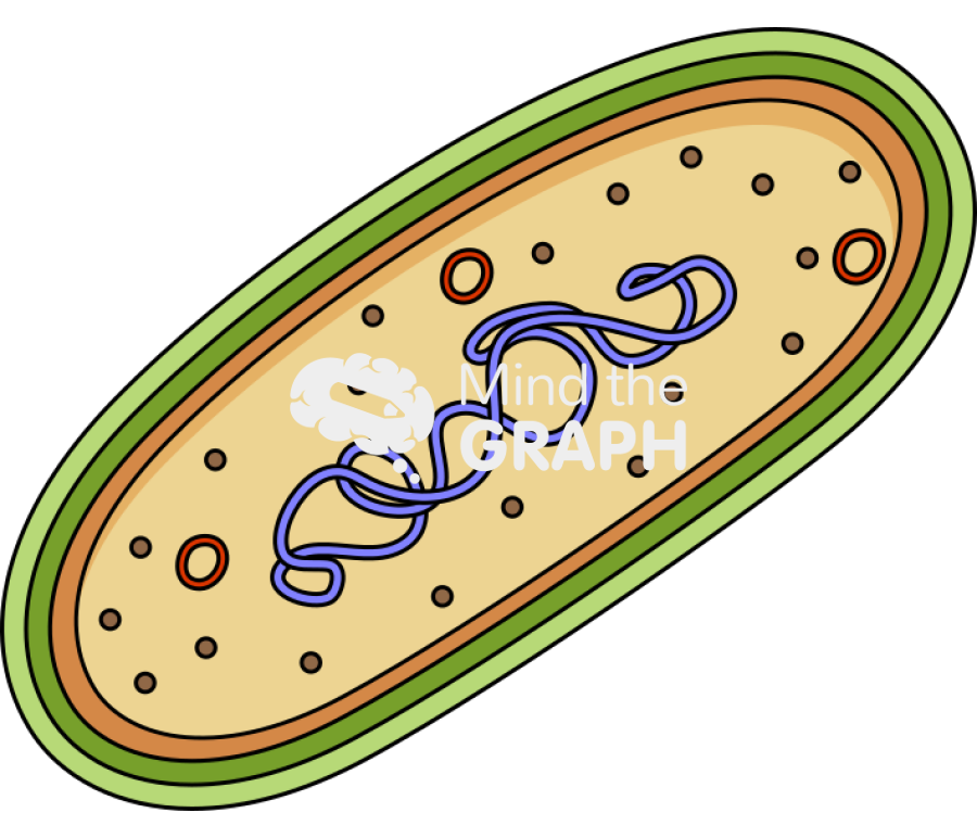 Bacterial chromosome cut 2 Icons, Symbols, Pictures, and Images