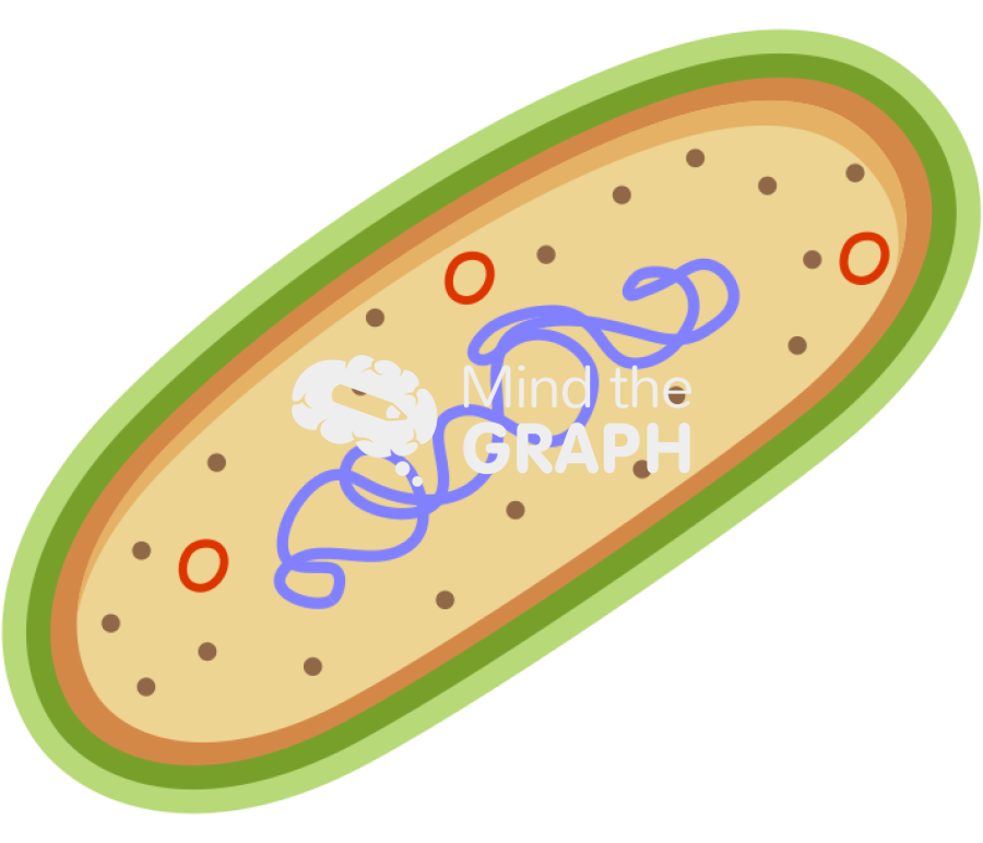 Bacterial chromosome cut 2 Icons, Symbols, Pictures, and Images