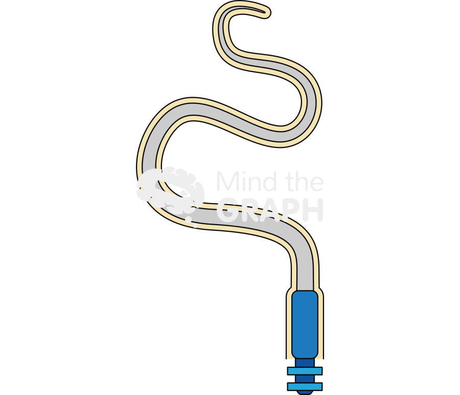 Bacterial sheathed flagellum Icons, Symbols, Pictures, and Images