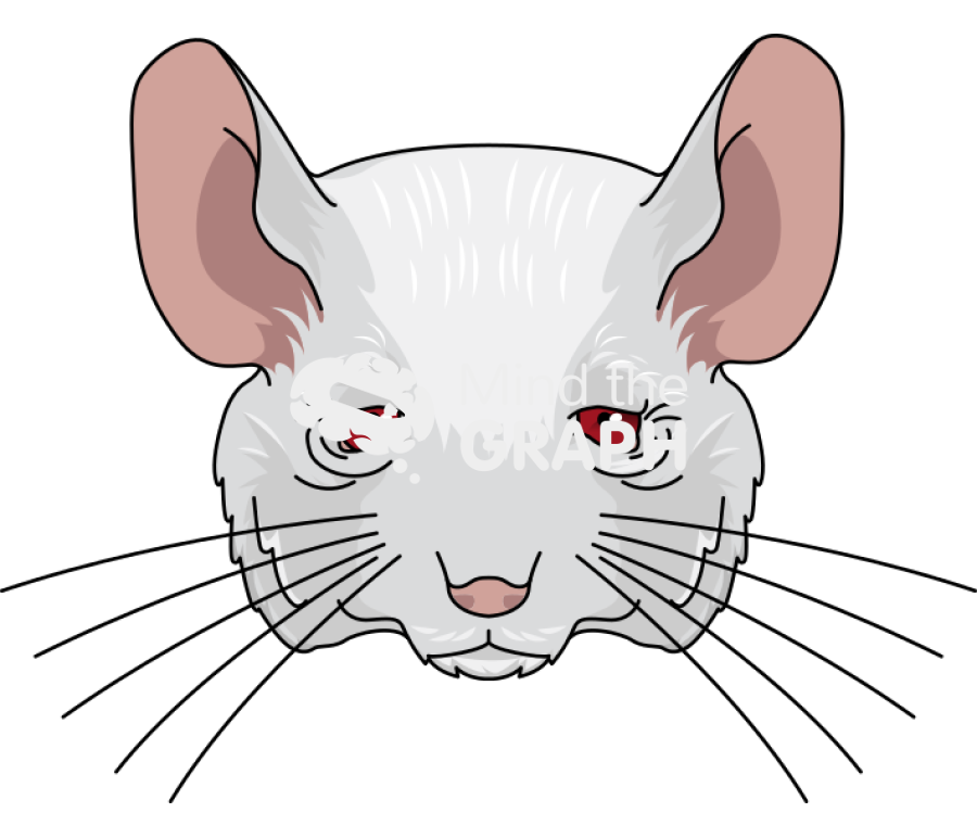 Balbc mice old front view Icons, Symbols, Pictures, and Images