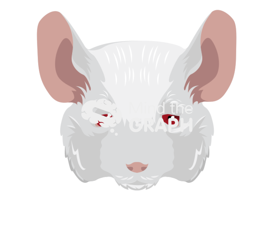 Balbc mice old front view Icons, Symbols, Pictures, and Images