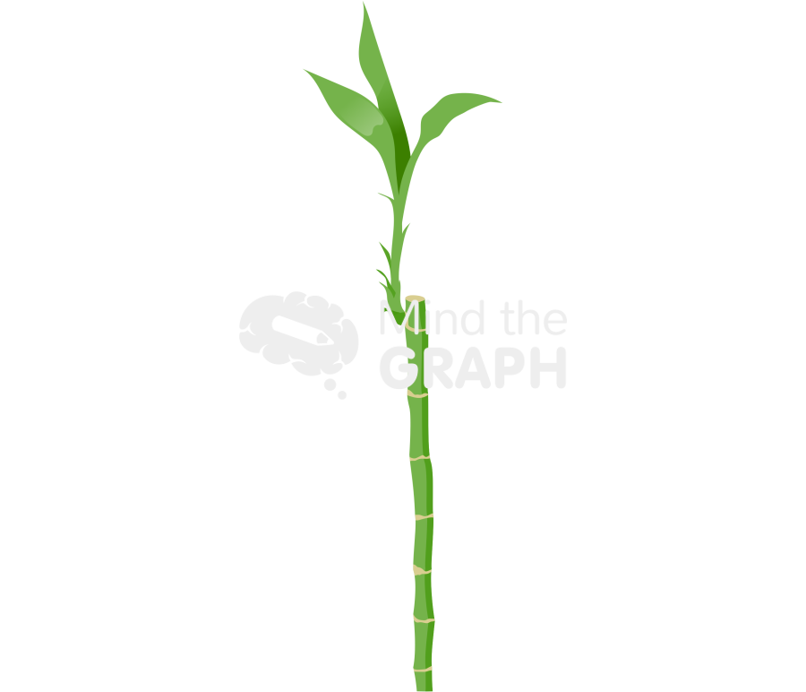 Bamboo stalk leafs Icons, Symbols, Pictures, and Images