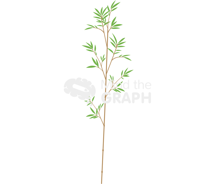 Bamboo thin stalk leafs Icons, Symbols, Pictures, and Images