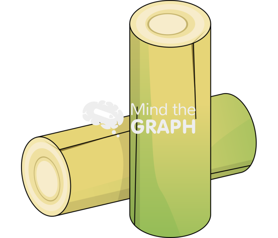 Banana stem perspective Icons, Symbols, Pictures, and Images