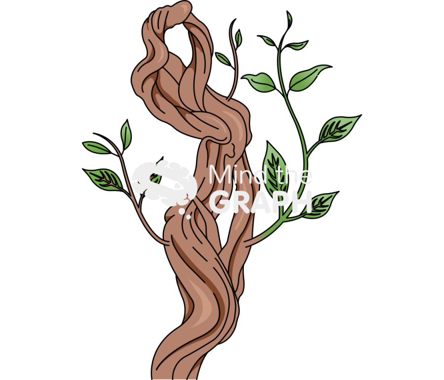 Banisteriopsis caapi ayahuasca Icons, Symbols, Pictures, and Images