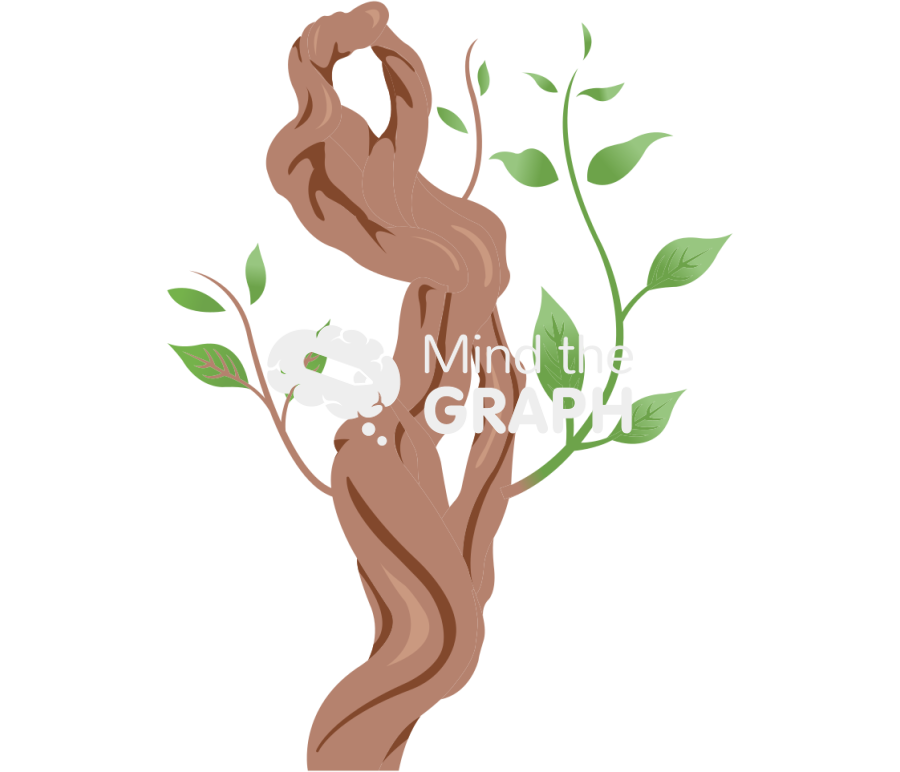 Banisteriopsis caapi ayahuasca Icons, Symbols, Pictures, and Images