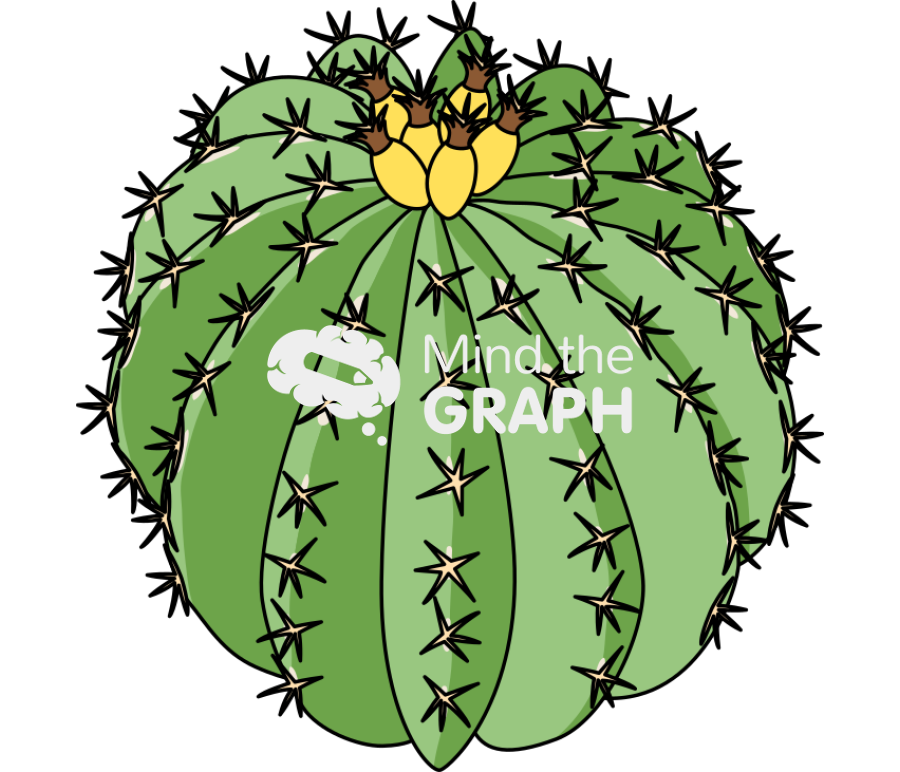 Barrel cactus Icons, Symbols, Pictures, and Images
