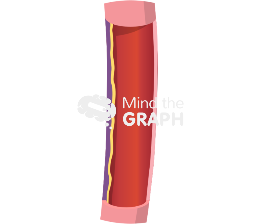 Barrett esophagus zoom Icons, Symbols, Pictures, and Images