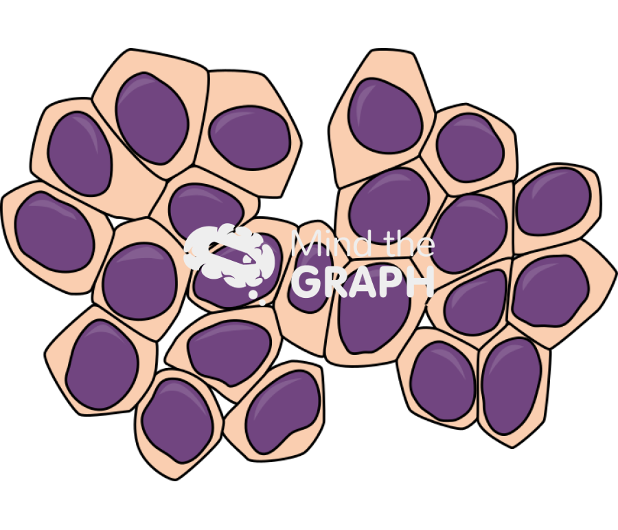 Cell basal urinary Icons, Symbols, Pictures, and Images