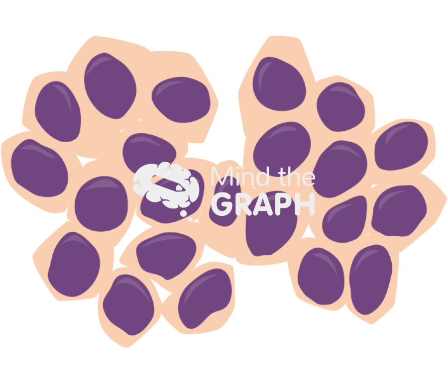 Cell basal urinary Icons, Symbols, Pictures, and Images