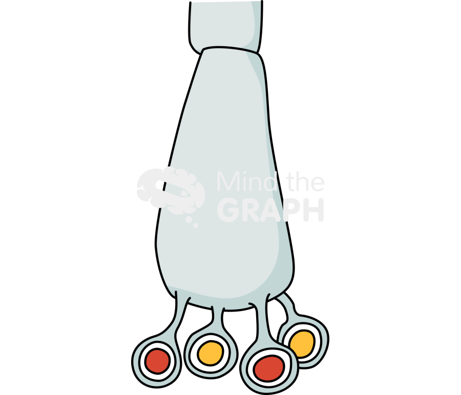 Basidiospore basidio Icons, Symbols, Pictures, and Images