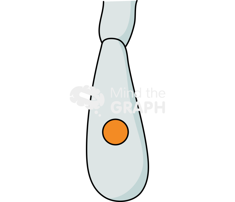 Basidiospore zygote Icons, Symbols, Pictures, and Images