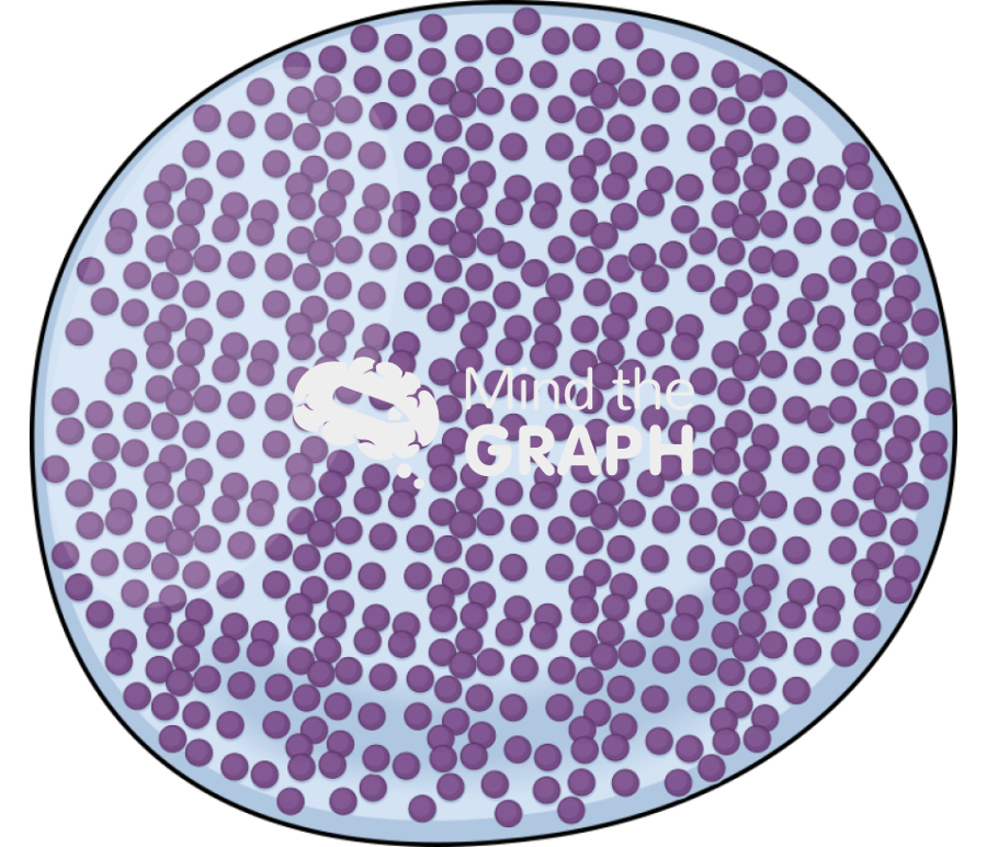 Basophil Icons, Symbols, Pictures, and Images
